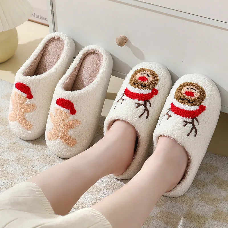Winter Slippers