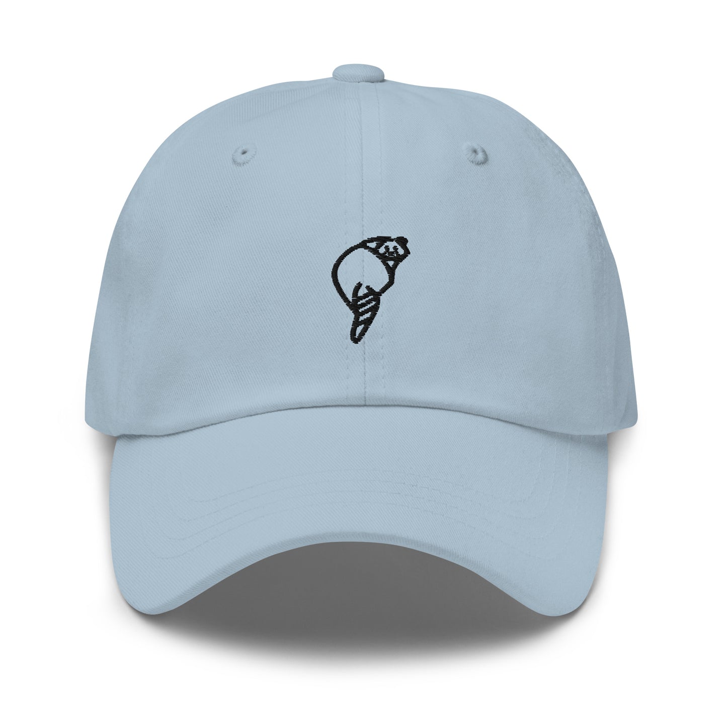 Raccoonsocks Hat - Black Logo