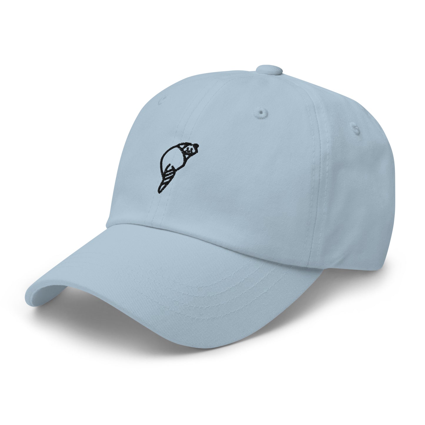 Raccoonsocks Hat - Black Logo