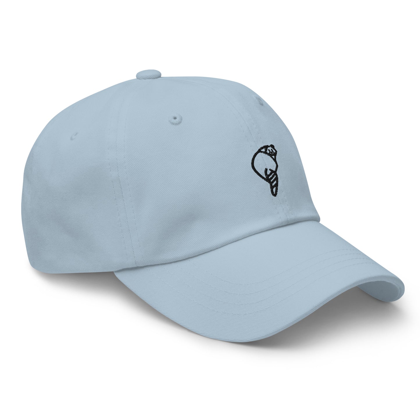 Raccoonsocks Hat - Black Logo