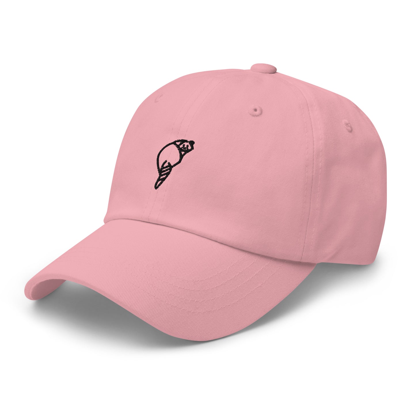 Raccoonsocks Hat - Black Logo