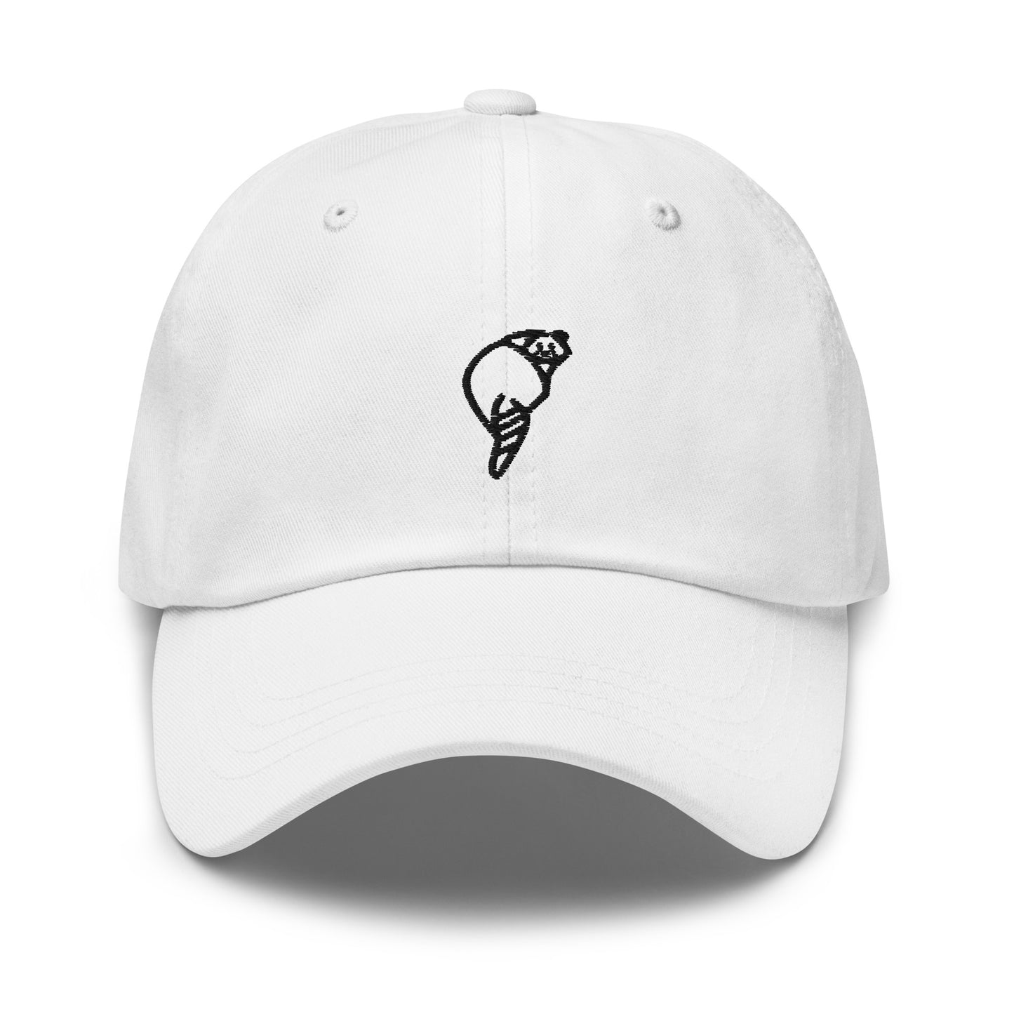 Raccoonsocks Hat - Black Logo