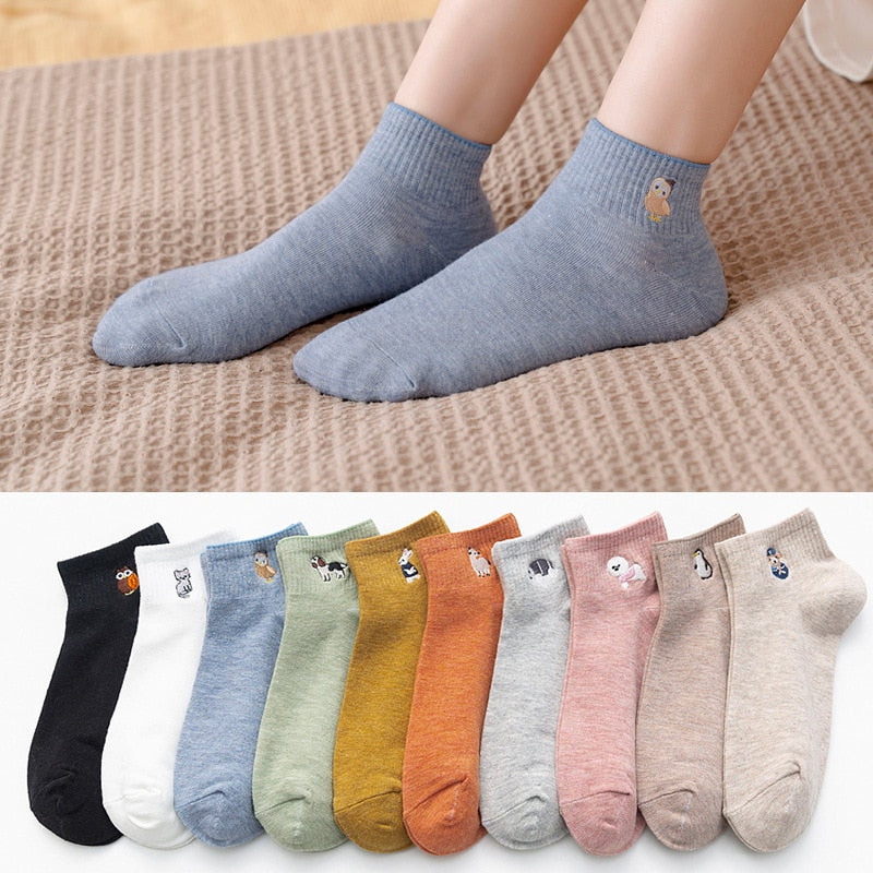 Pet Socks