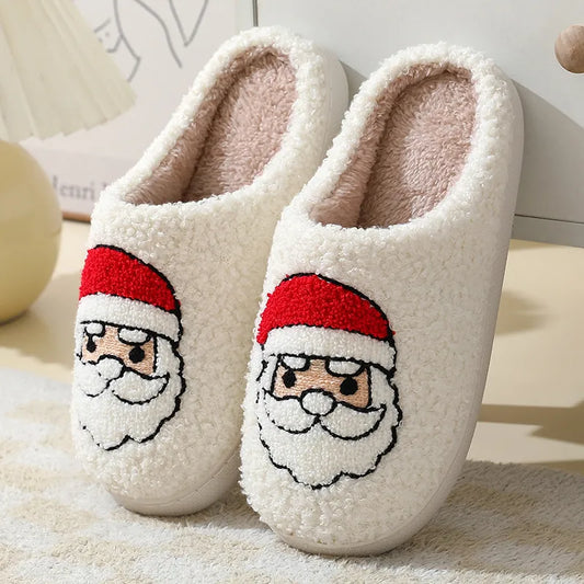 Winter Slippers