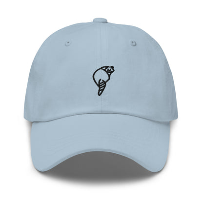 Raccoonsocks Hat - Black Logo
