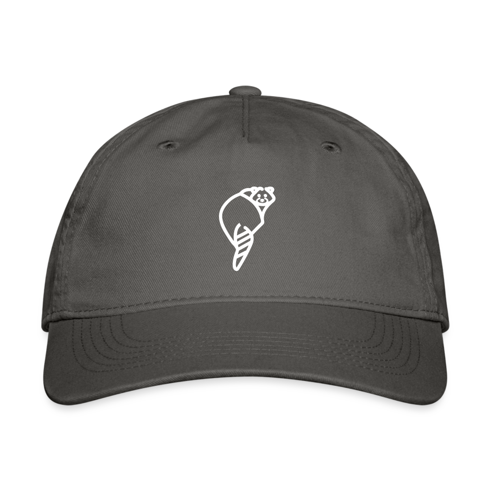 Raccoonsocks Baseball Cap White Logo - charcoal